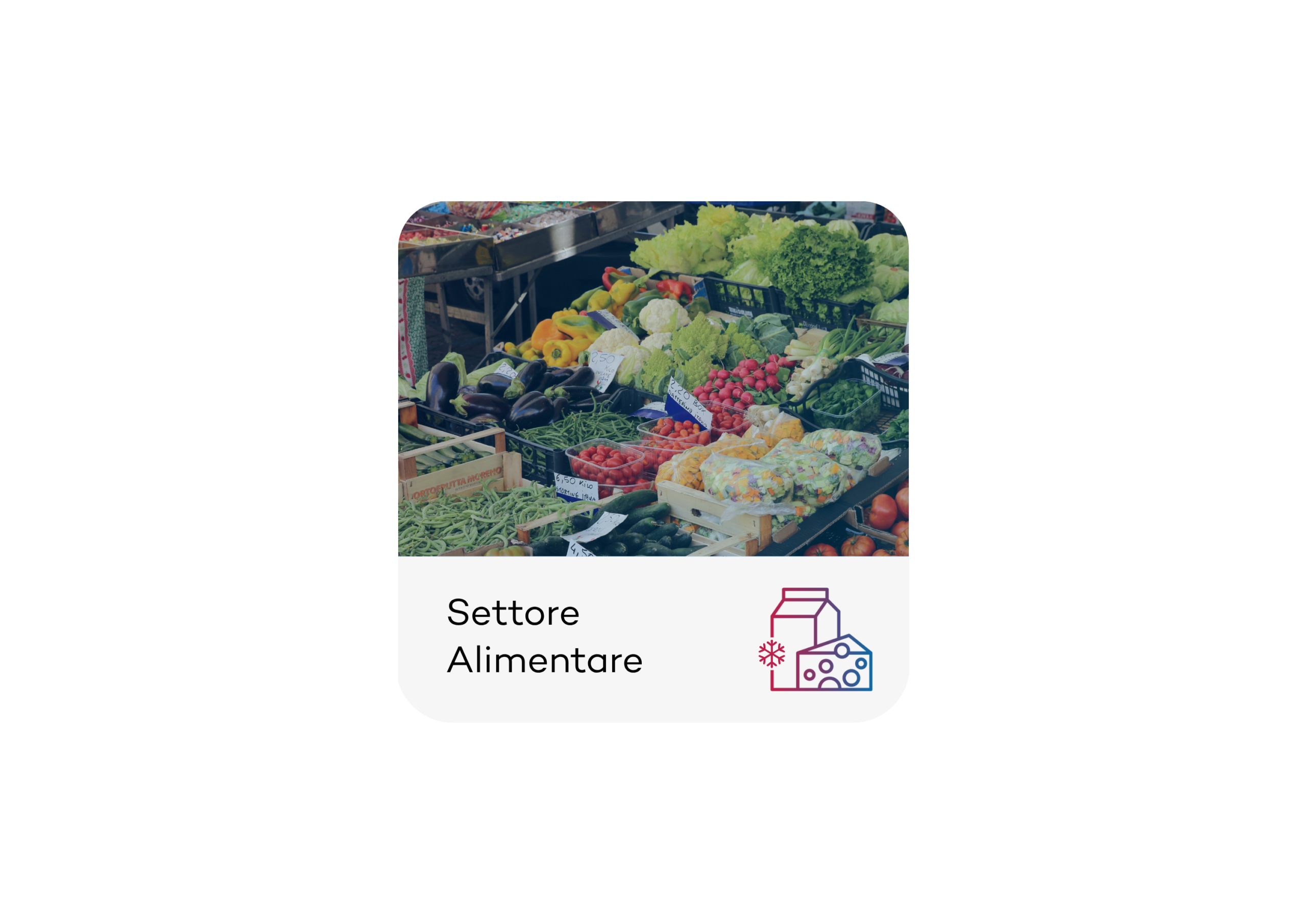 Settore Alimentare