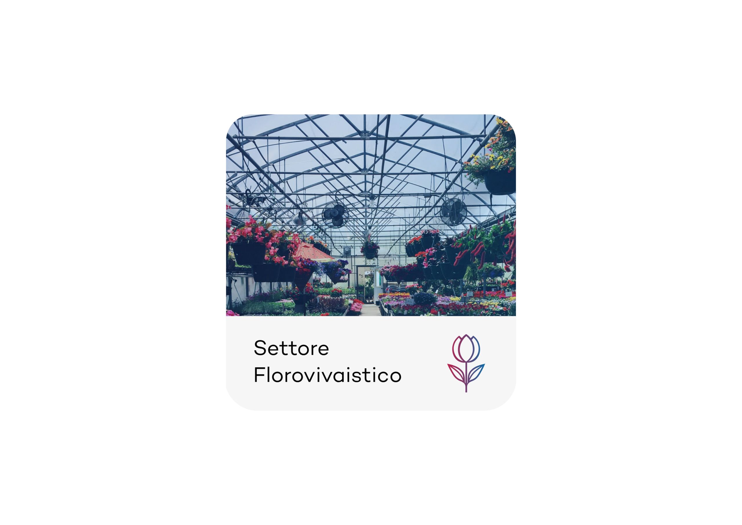 Settore Florovivaistico